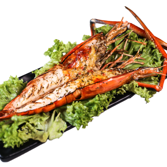 Scampi River Prawn