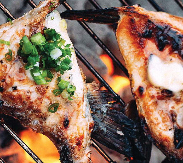 Hamachi Amberjack Collar